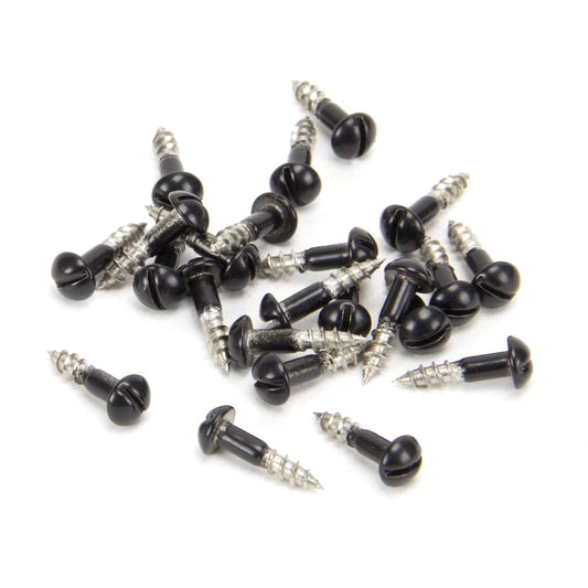 Black SS  Roundhead Screws (25)
