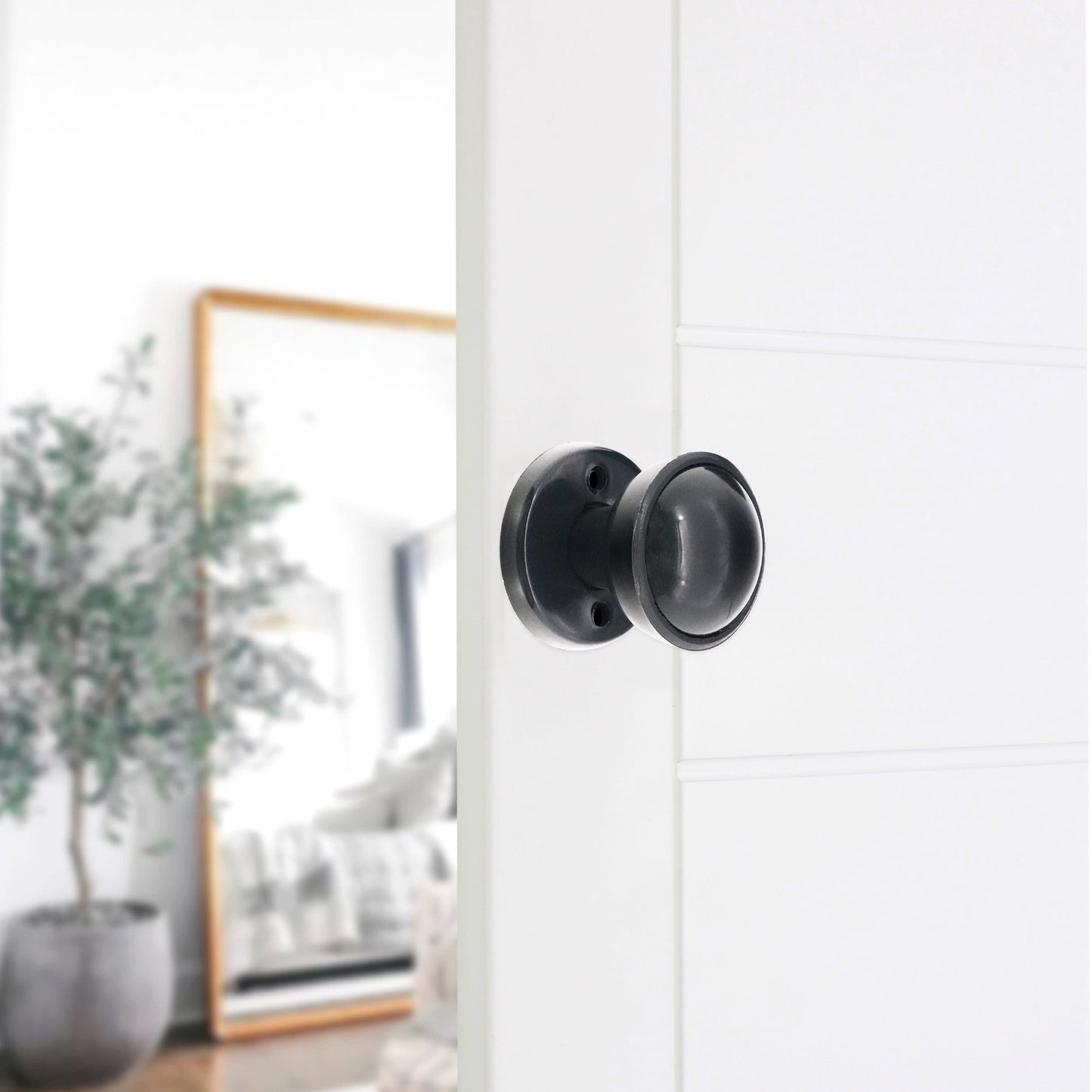 Plastic Rim Mortice Door Knob