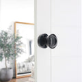 Plastic Rim Mortice Door Knob