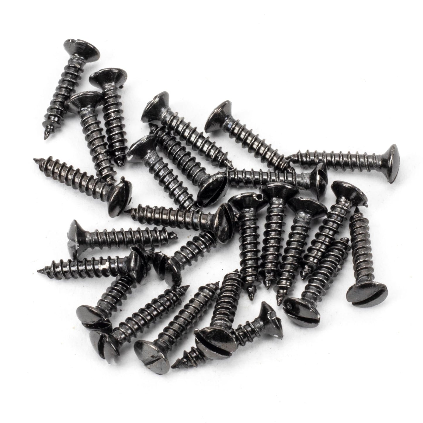 Countersunk Raised Head Screws (25)