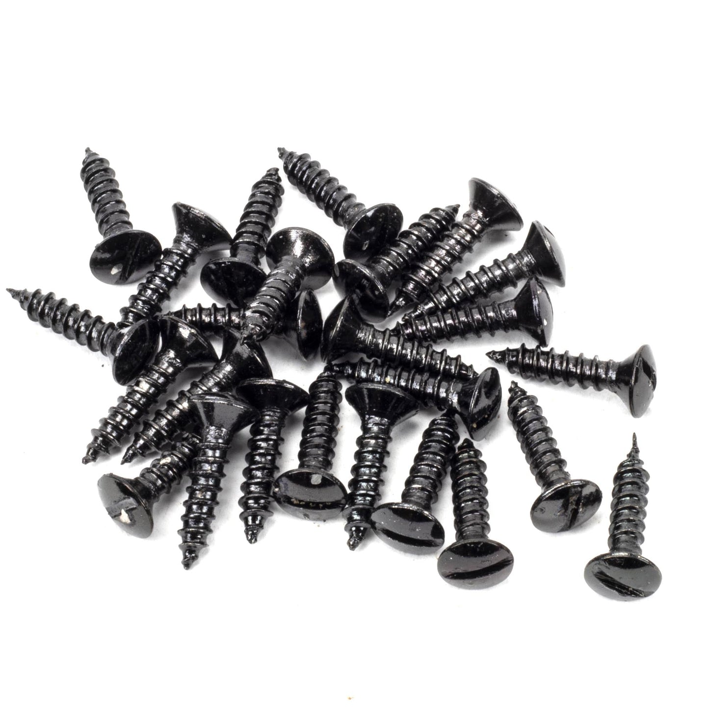 Countersunk Raised Head Screws (25)