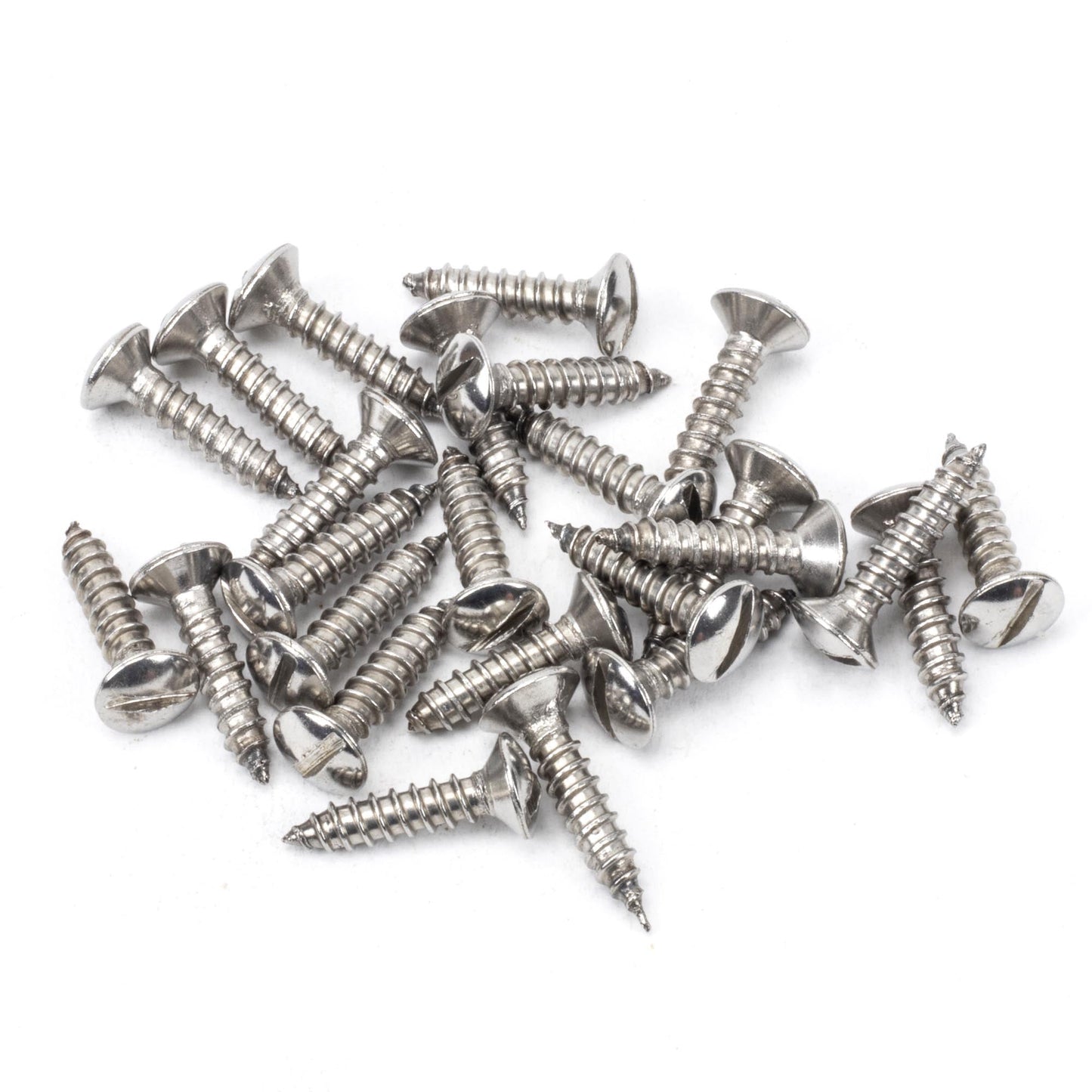 Countersunk Raised Head Screws (25)
