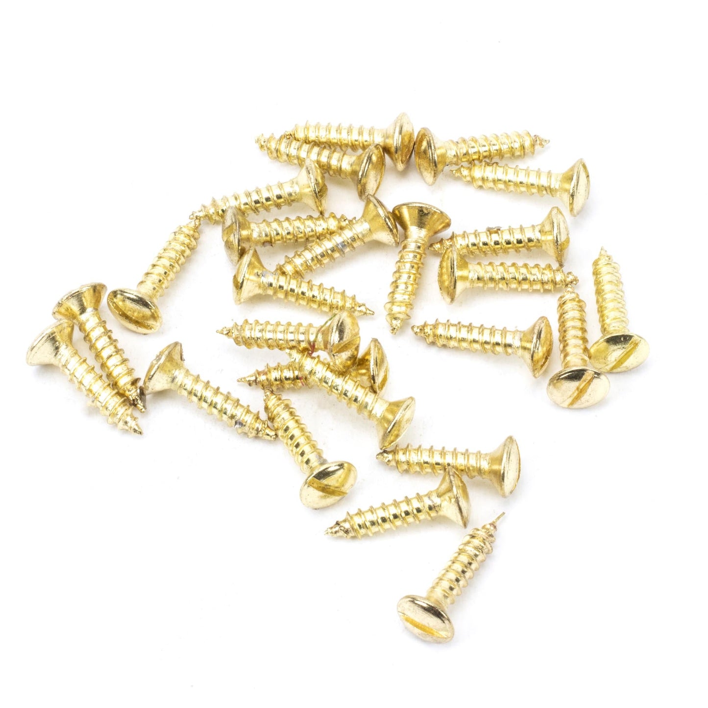 Countersunk Raised Head Screws (25)