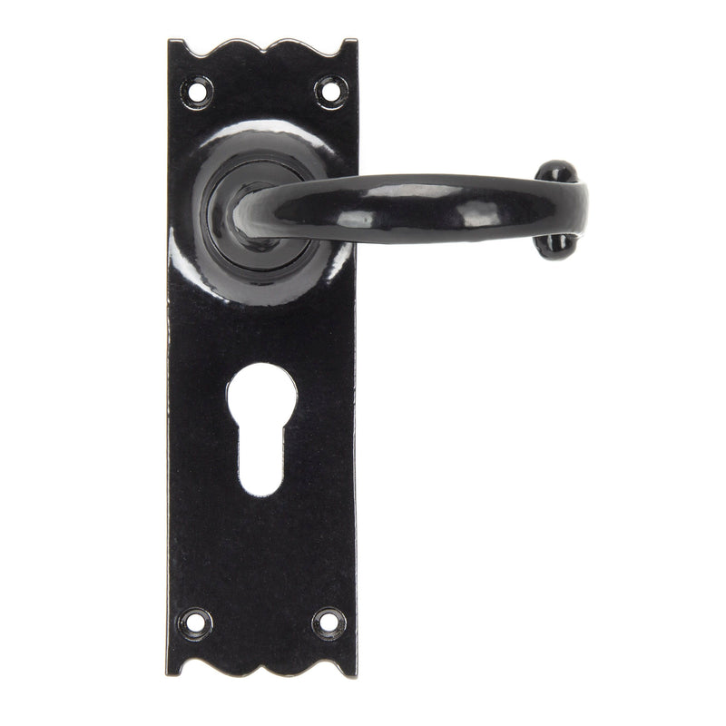 Cottage Lever Euro Lock Set