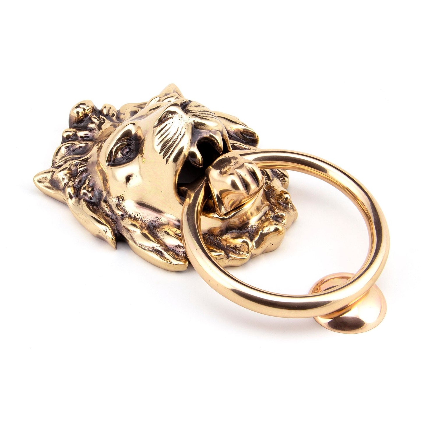 Lion's Head Door Knocker