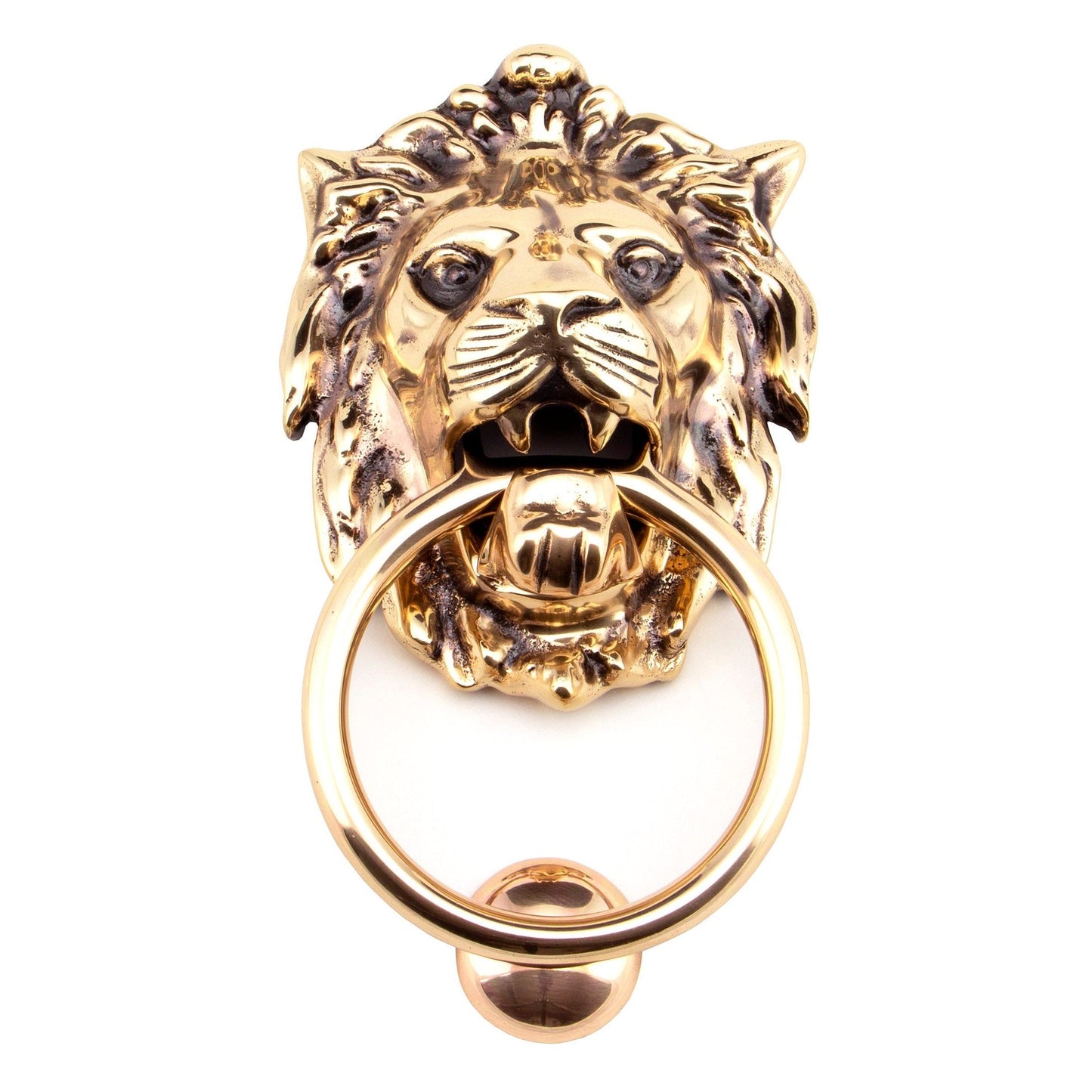 Lion's Head Door Knocker