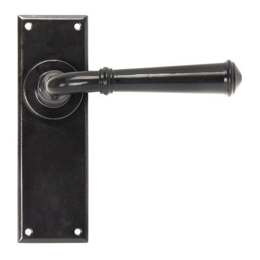 Regency Lever Latch Set
