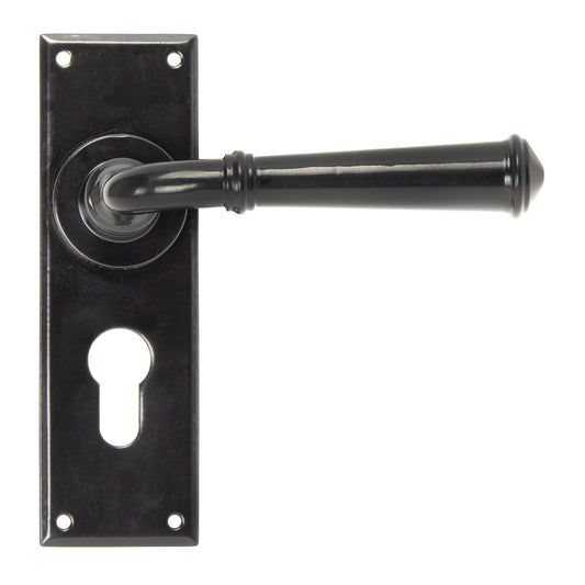 Regency Lever Euro Lock Set