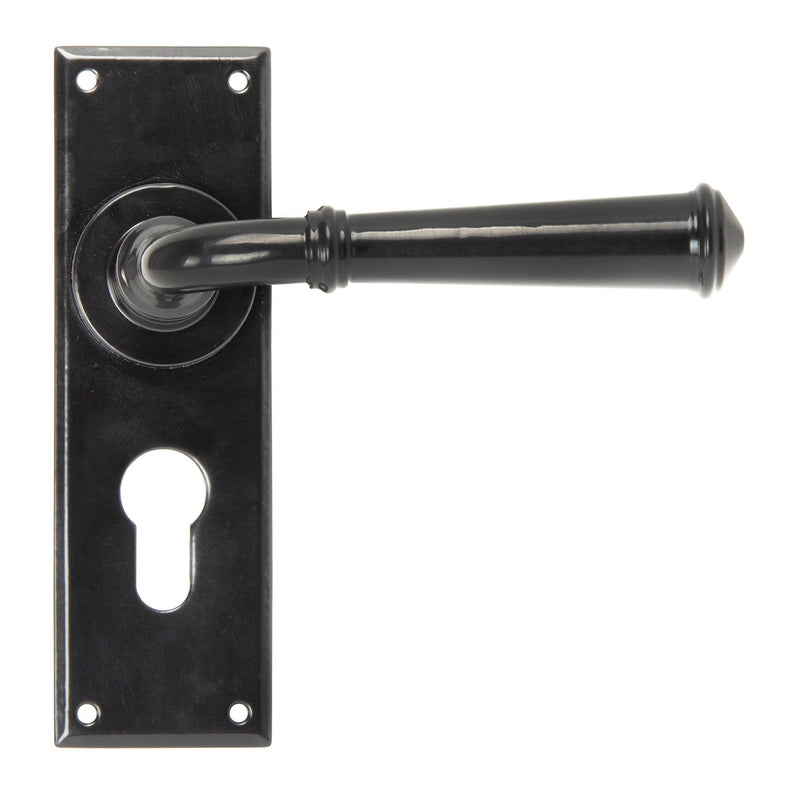 Regency Lever Euro Lock Set