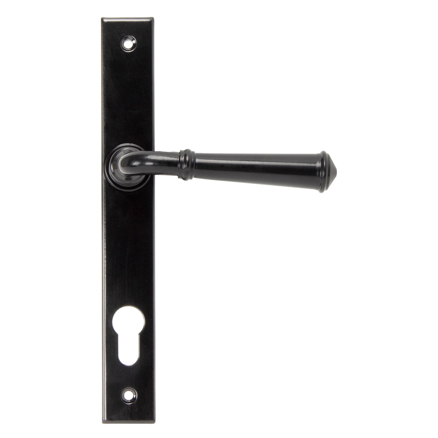 Regency Slimline Lever Espag. Lock Set