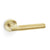 Satin Brass PVD