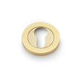 Euro Profile Concealed Fix Escutcheon Satin Brass PVD Love Handles uk