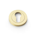 Euro Profile Concealed Fix Escutcheon Satin Brass Love Handles uk