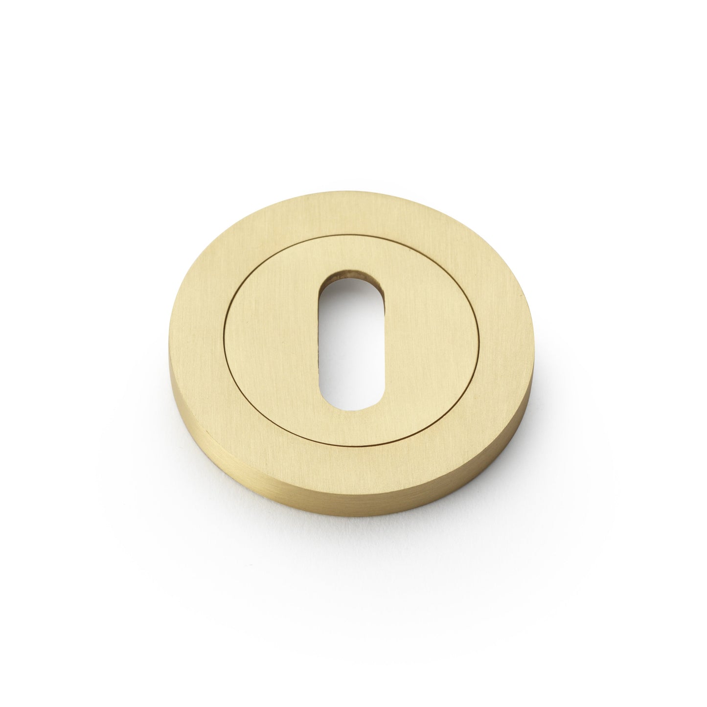 Standard Profile Concealed Fix Escutcheon