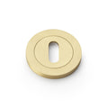 Standard Profile Concealed Fix Escutcheon Polished Nickel PVD Love Handles uk