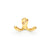 Polished Brass Unlaquered