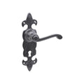 Fleur De Lys Lever Handle