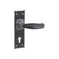 Isabella Lever Handle