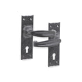 Isabella Lever Handle