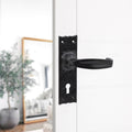 Isabella Lever Handle