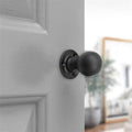 Spira Brass Ball Rim/Mortice Door Knob in a dark finish, featuring a rounded knob design and a round backplate, mounted on a white door.