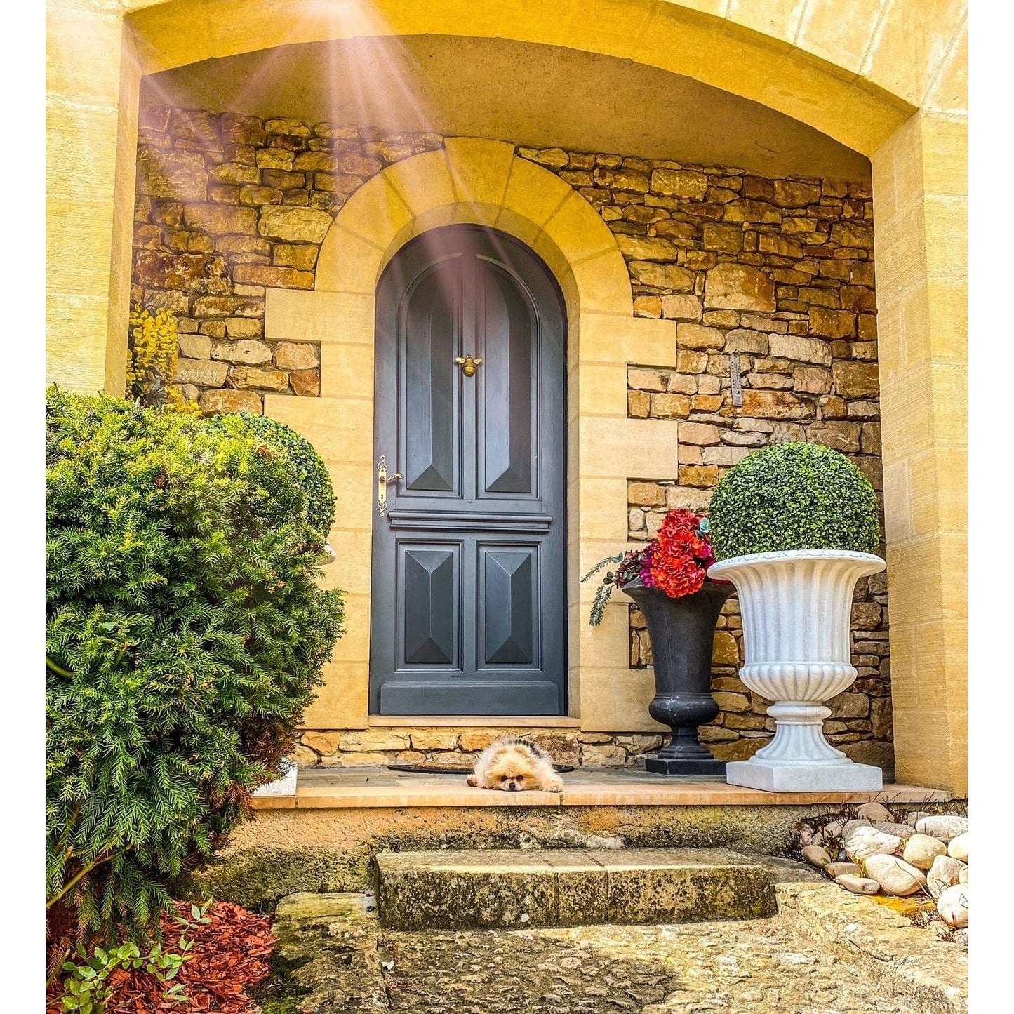 Brass Bumble Bee Door Knocker - Brass Finish - Brass bee