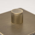 Brass Bee Antique Brass Knurled Switch — Single Dimmer