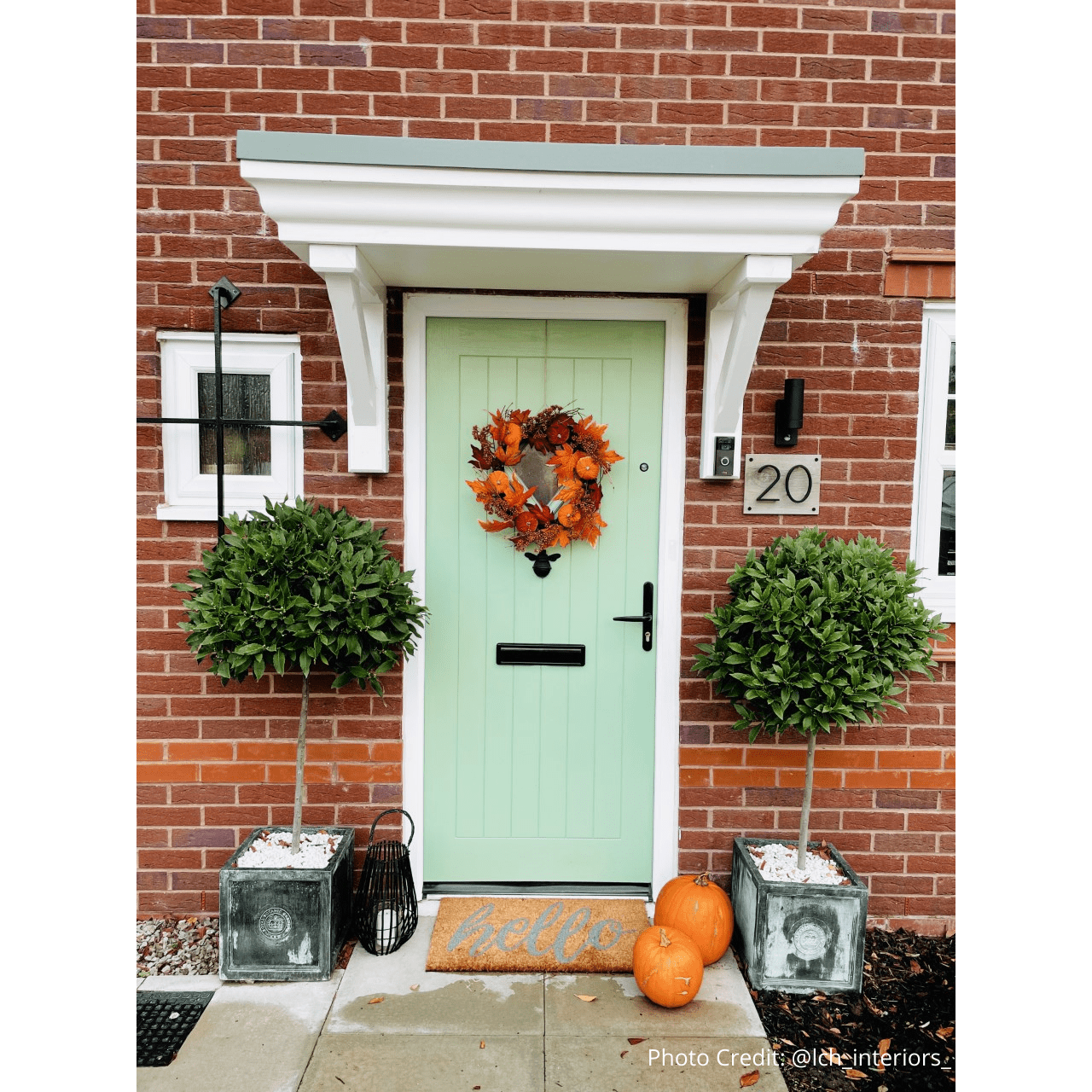 Brass Bee Door Knocker - Black Finish - Brass bee