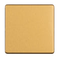 Concealed 3mm Single Blank Plate - Satin Brass