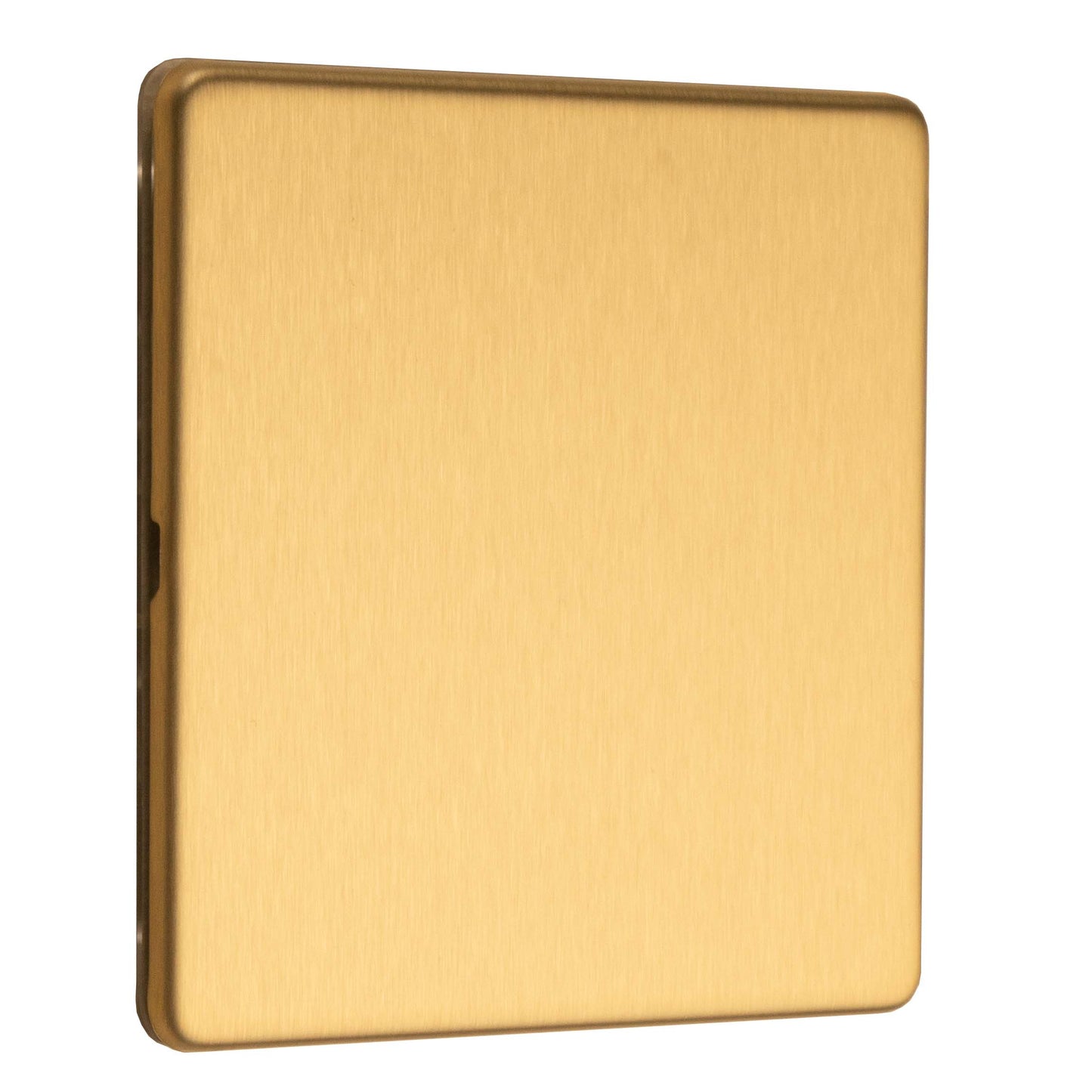Stainless steel Single Blank Plate - Satin Brass