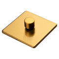 Stainless steel 1 Gang Dimmer - Satin Brass