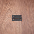 Spike Butt Hinge