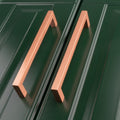 Carlisle Brass Block Handle in copper finish, featuring a rectangular design, mounted on a green cabinet door. The pulls are positioned side by side, showcasing their straight lines and geometric shape.