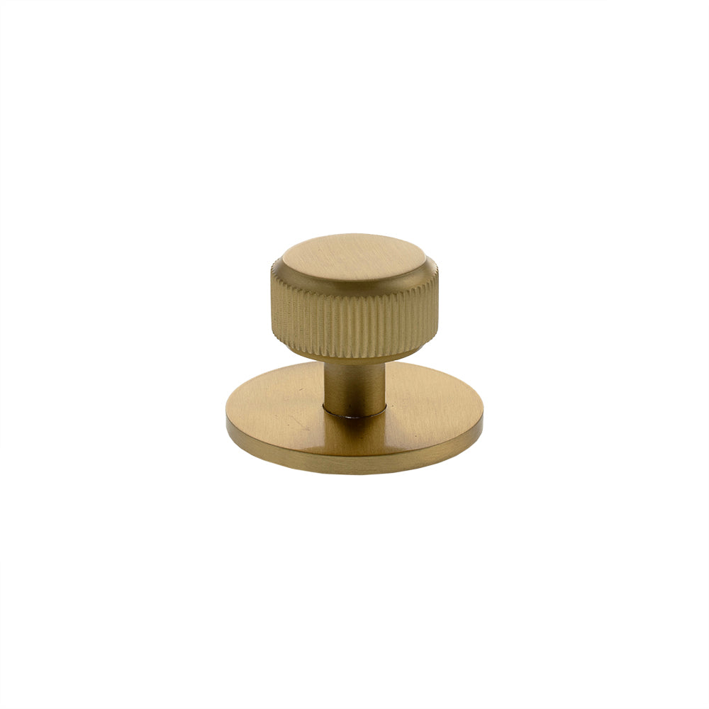 Millhouse Brass Battersea Linear Round Cabinet Knob Handle on Backplate