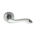 Camila Door Handle