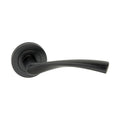 Mercury Lever Door Handle