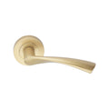 Mercury Lever Door Handle