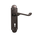 Oakley (S-Type) Lock Handle on Backplate