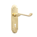 Oakley (S-Type) Lock Handle on Backplate