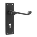 Victorian (Scroll) Lever on Backplate Door Handle