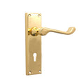 Victorian (Scroll) Lever on Backplate Door Handle