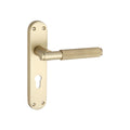Connaught Knurled Lever on Backplate Door Handle