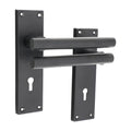 Jura Lever on Backplate Door Handle