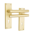 Jura Lever on Backplate Door Handle