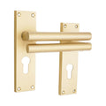 Jura Lever on Backplate Door Handle