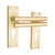 Euro Profile Backplate / Satin Brass