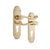 Euro Backplate / Polished Brass