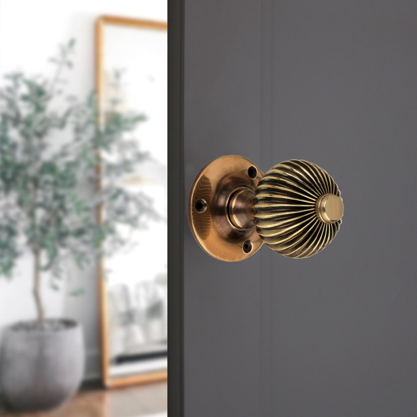 Regency Mortice Door Knob
