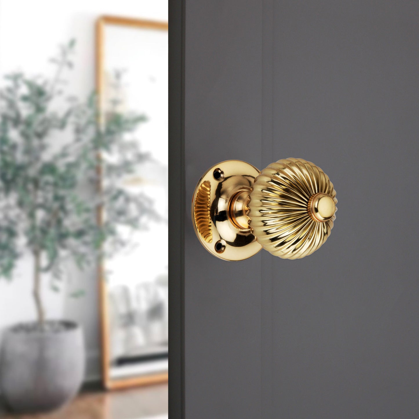 Regency Mortice Door Knob