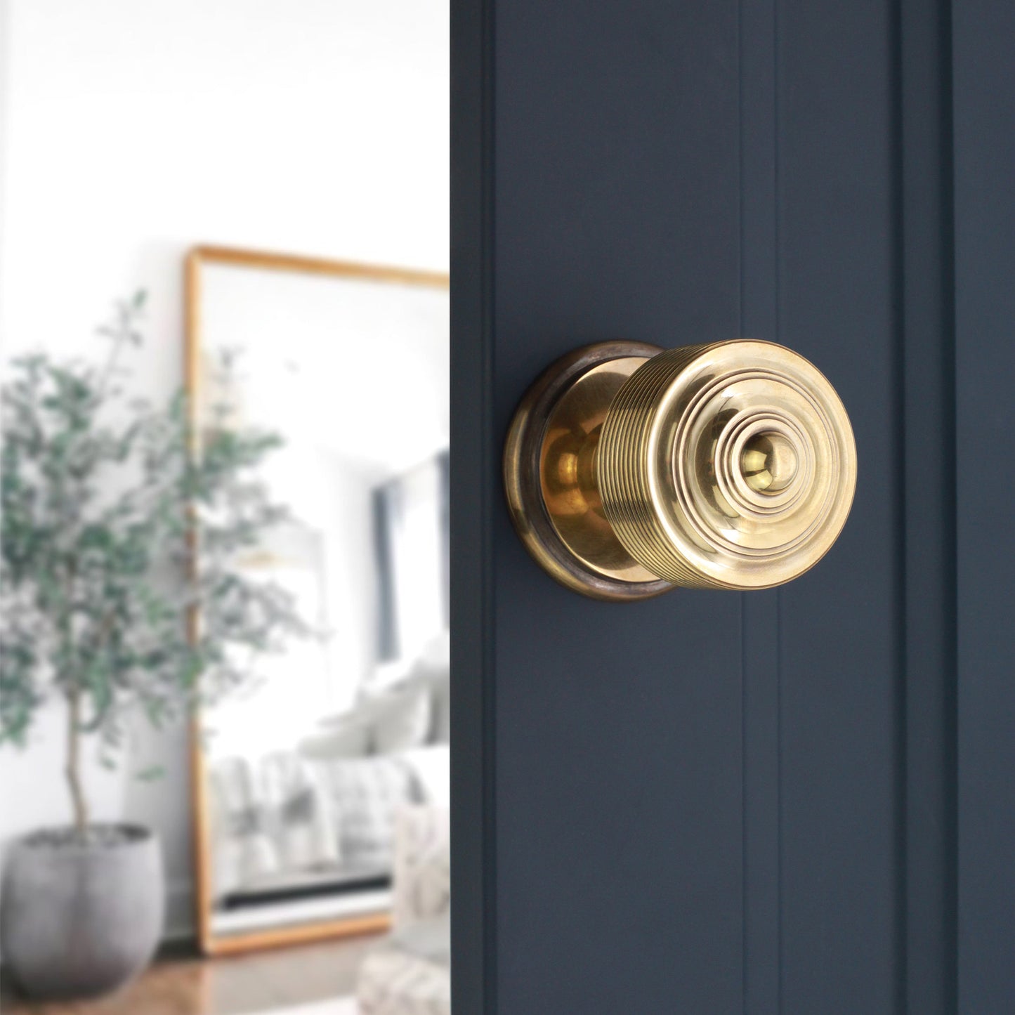 Carter Mortice/Rim Door Knob